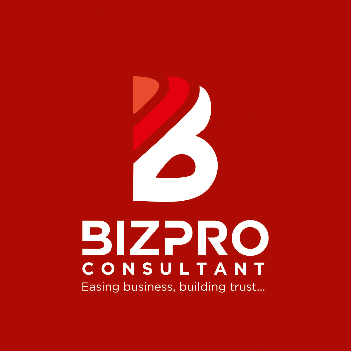 Biz Pro Consultant